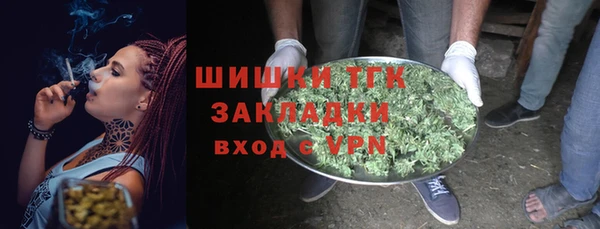 молекула духа Сосновый Бор
