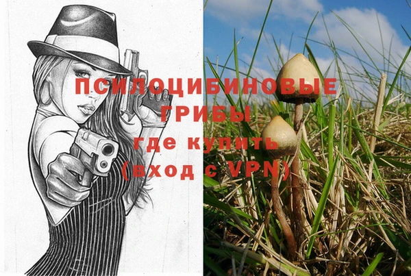 мескалин Сосновоборск