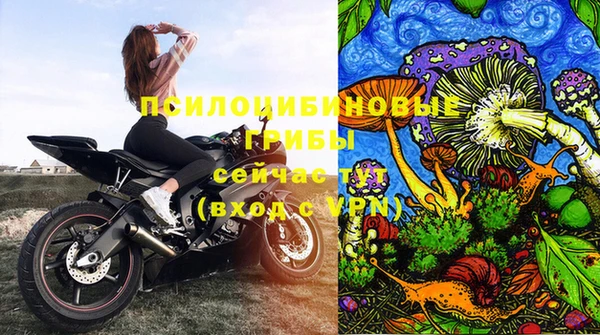 стаф Бугульма