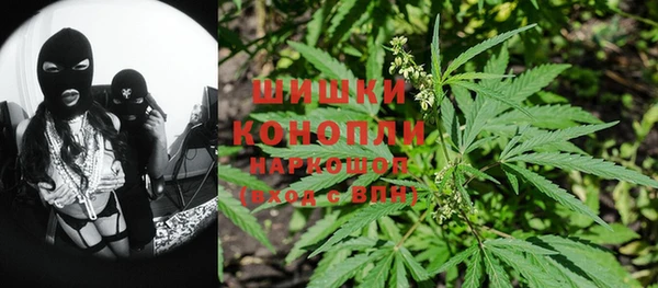 стаф Бугульма