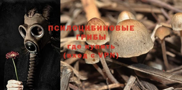 меф Бородино
