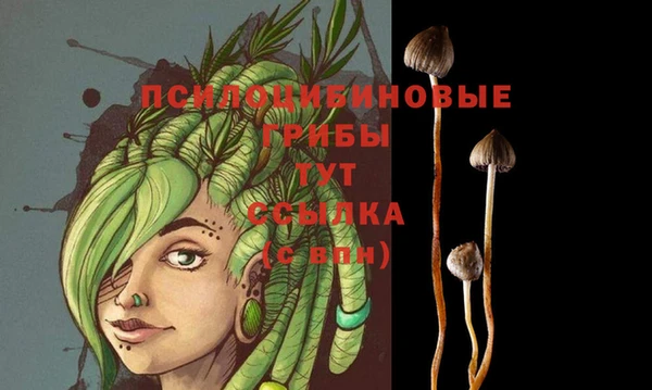стаф Бугульма