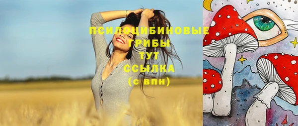 стаф Бугульма